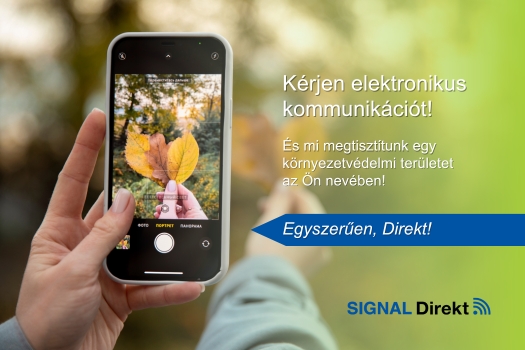 2510_blog_SD