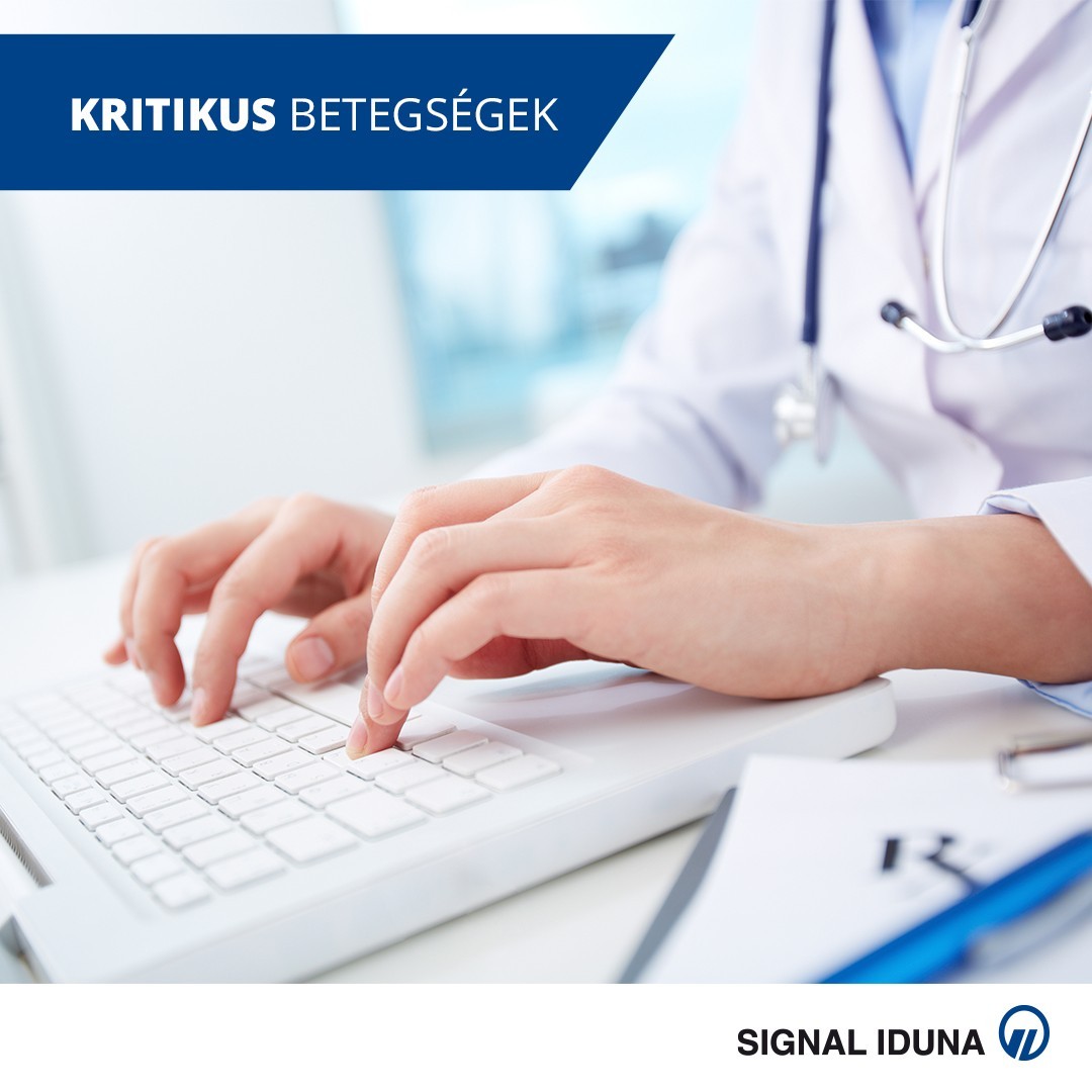 SIGNAL Blog - Kritikus