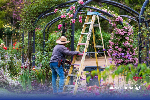 2604_signal_blog_5_leggyakoribb_tavaszi_baleset