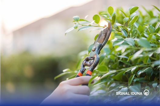 2604_blog_tavaszi_kerti_munkak