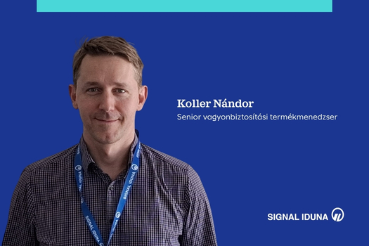 2609_munkatarsi_interju_koller_nandor