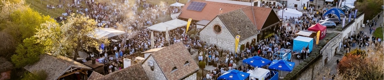 etyeki piknik 2026 belső kép1300x etyeki piknik 2026 belső kép1300x