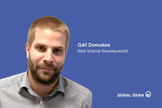 2602_munkavallaloi_interjuk_gall_domokos