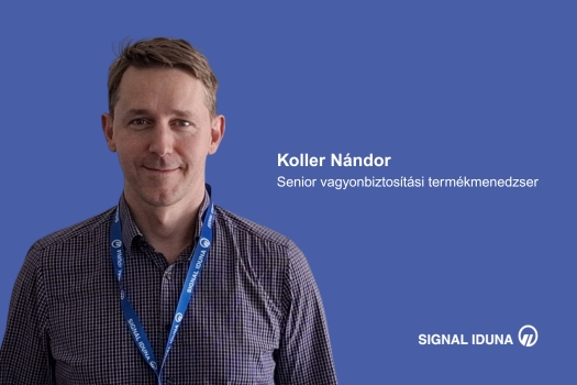 2602_munkavállaloi_interjuk_koller_nandor