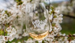 Etyeki piknik belső kis kép Etyeki piknik belső kis kép