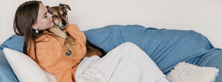 tv plusz kritikus tv plusz kritikus