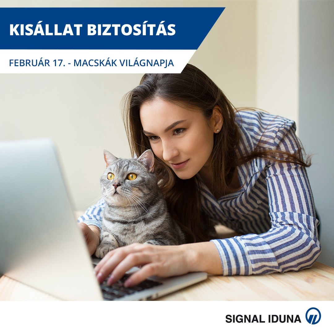 signal blog macskak vilagnapja